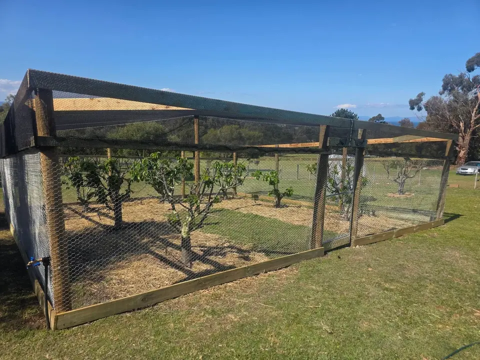 Timber and wire enclosure on rural land